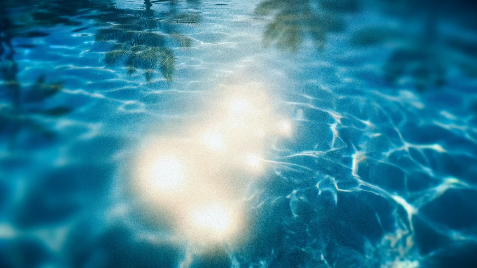 Visual 02