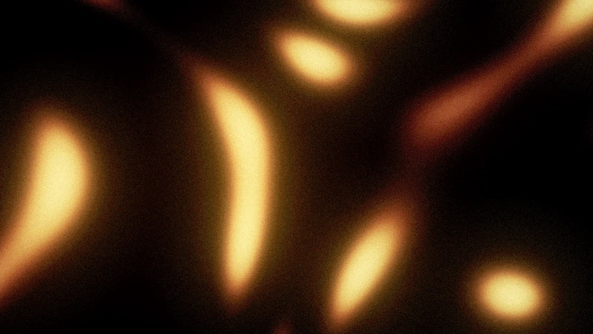 Visual 02