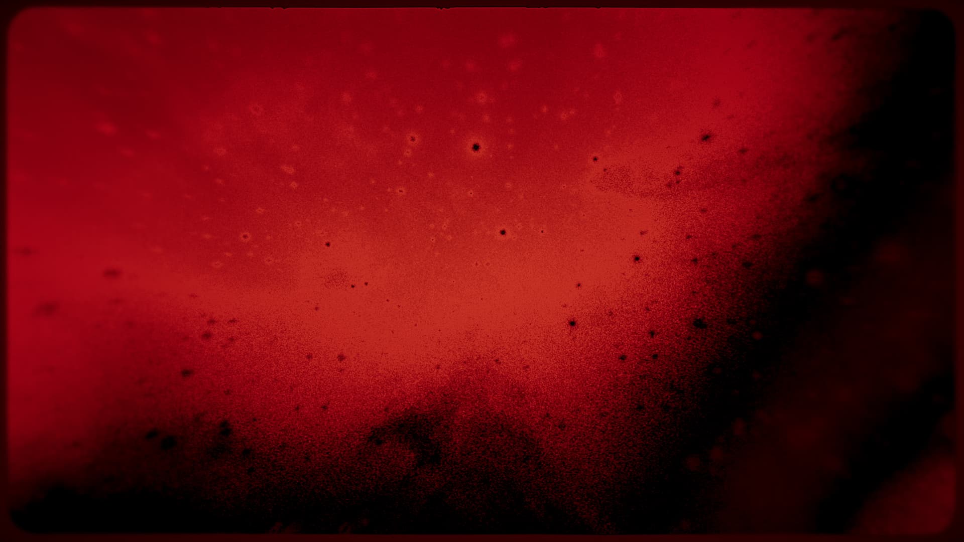 Visual 13