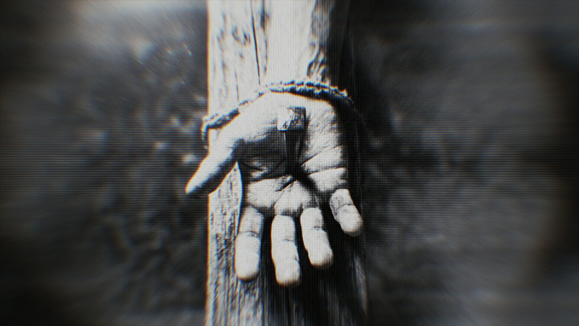 Visual 06