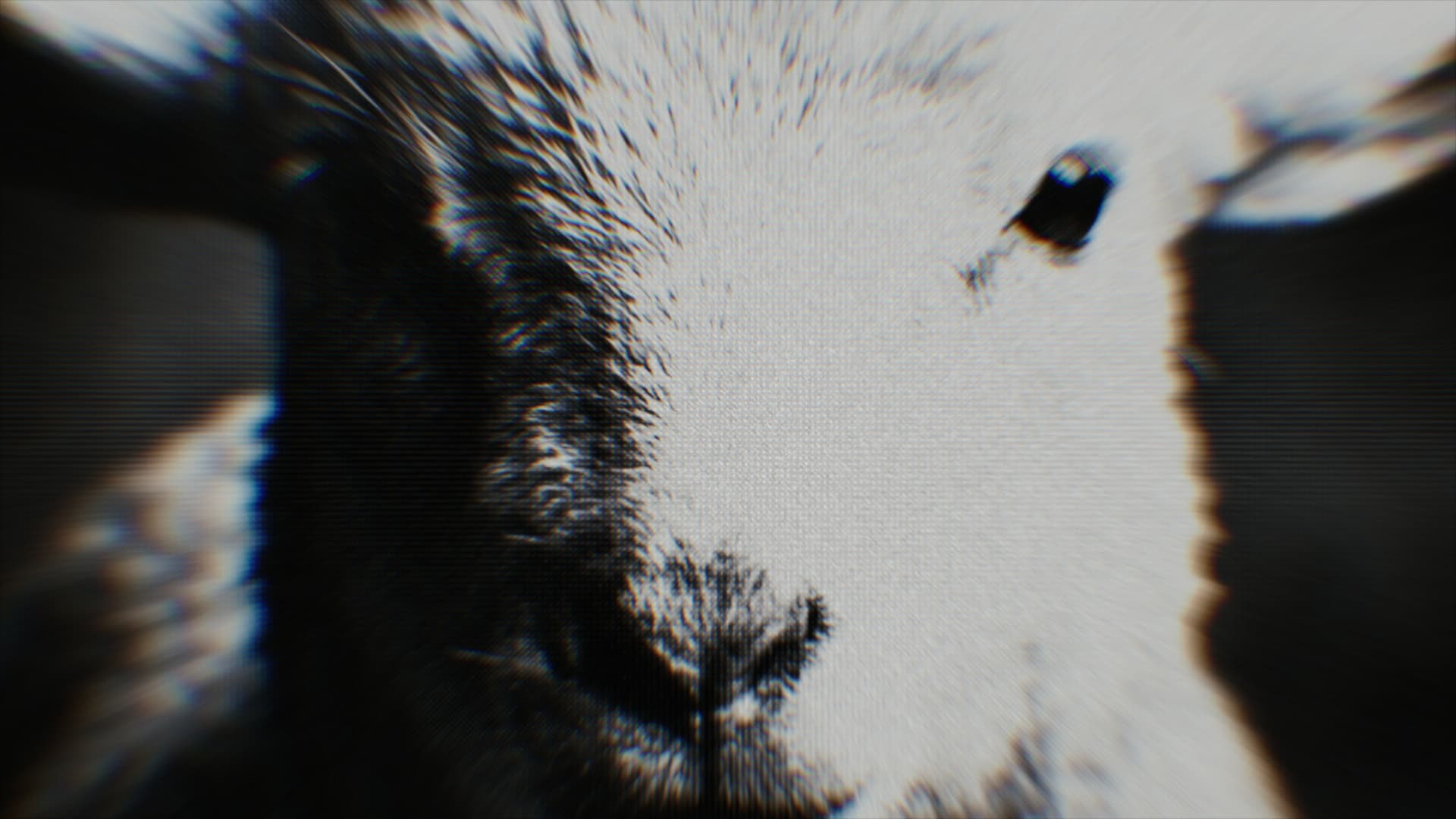 Visual 09