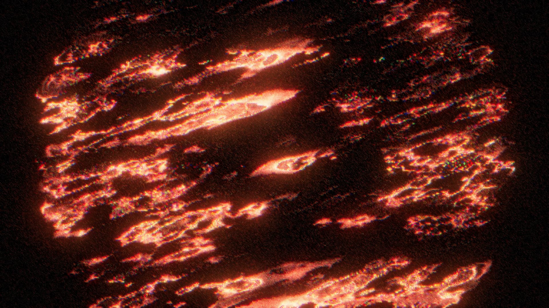 Visual 11
