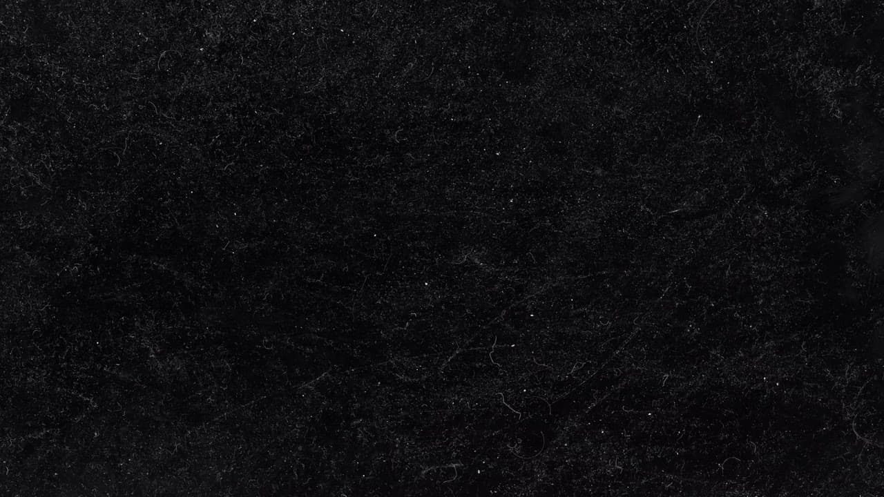 Paper BW 01