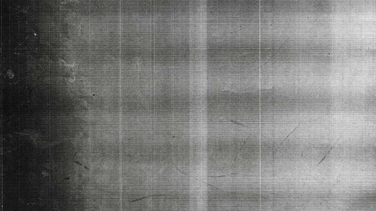 Paper BW 02