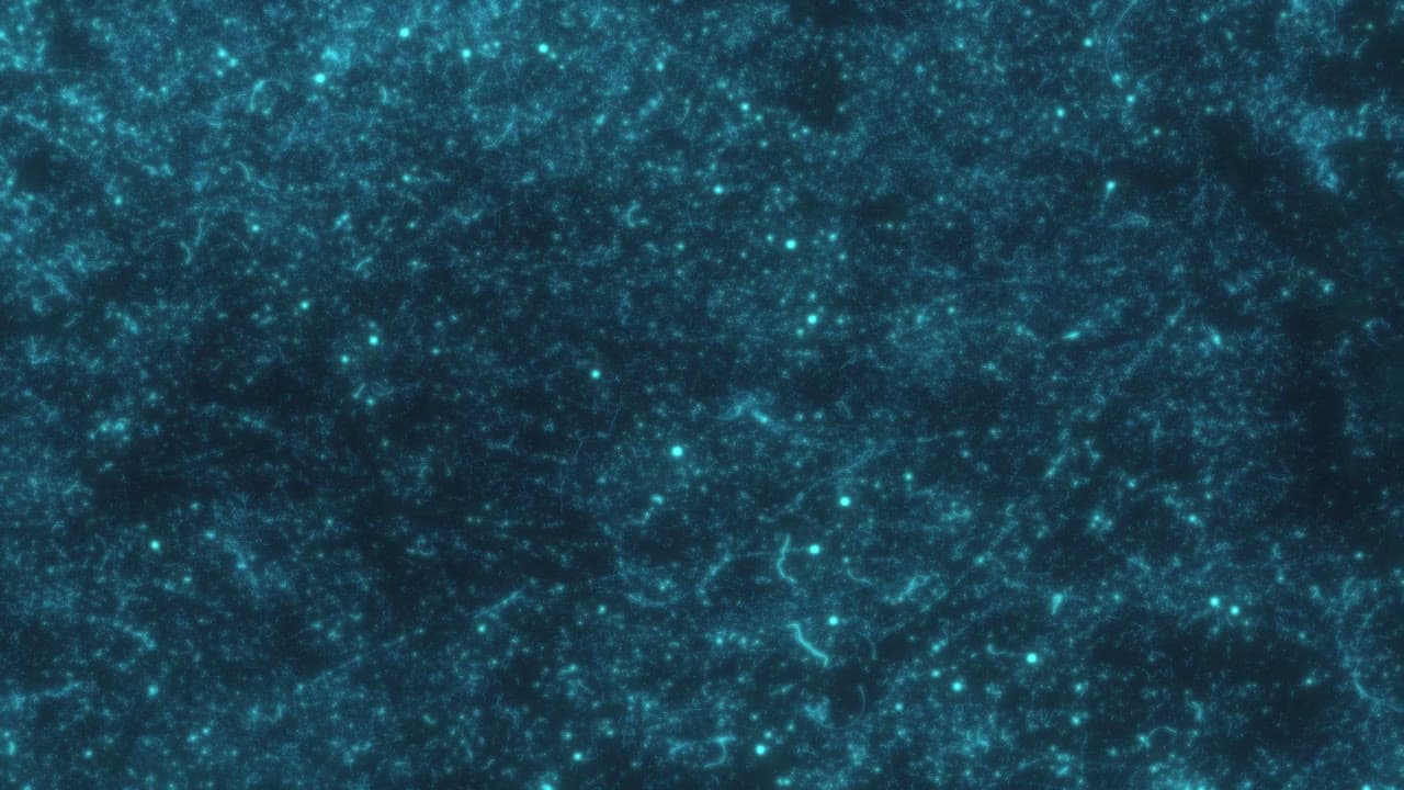 Paper Blue 01
