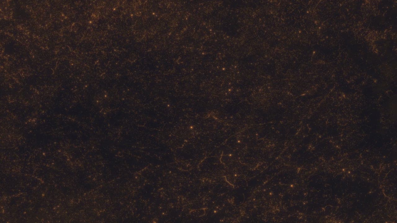 Paper Orange 01
