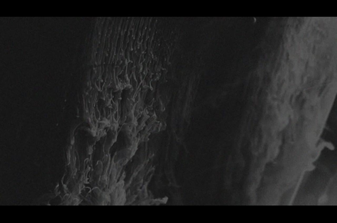 Visual 02
