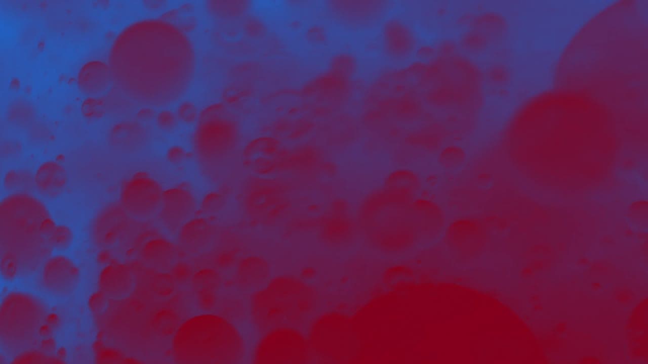 Morphed 1 1