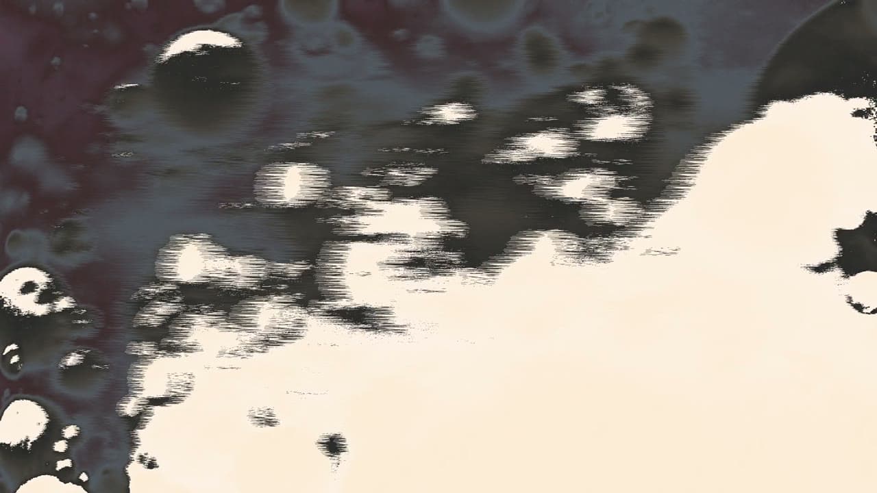 Morphed 1 2