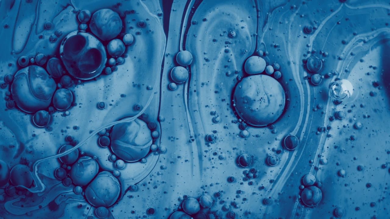 Morphed 2 1