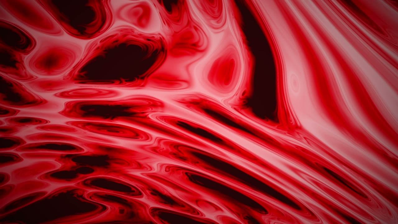 Morphed 4 1