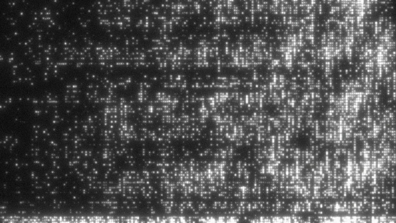Noise 19
