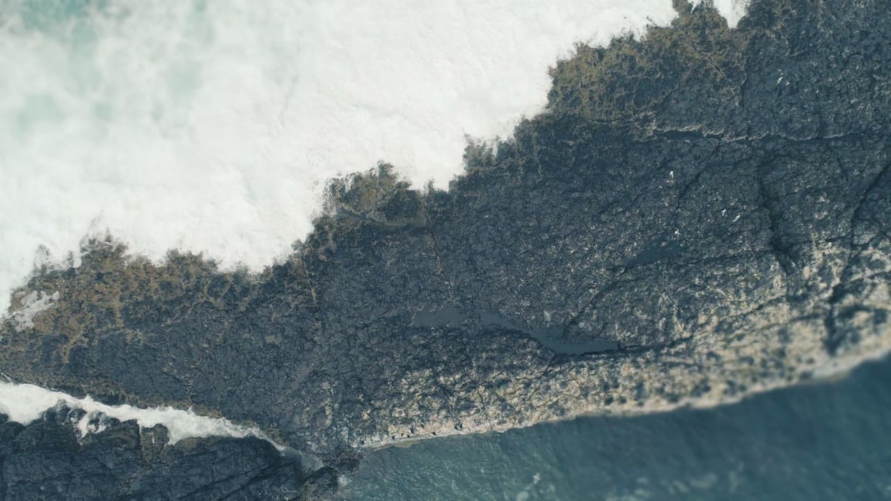 Tidal 03