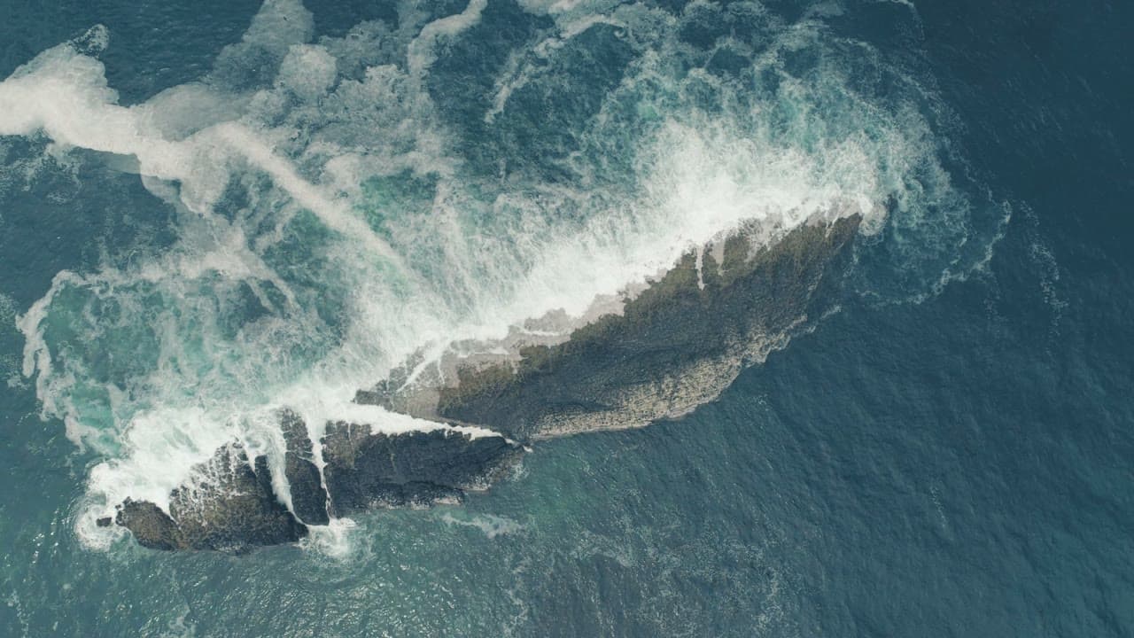 Tidal 04