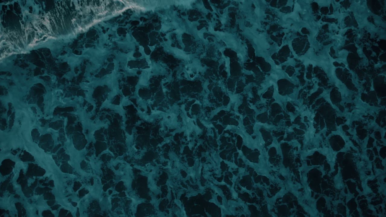 Tidal 06