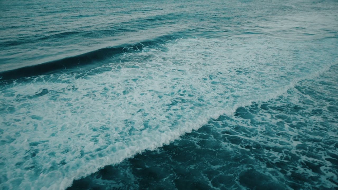 Tidal 10