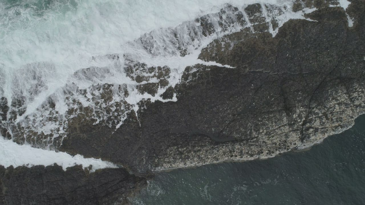 FP000755HD01