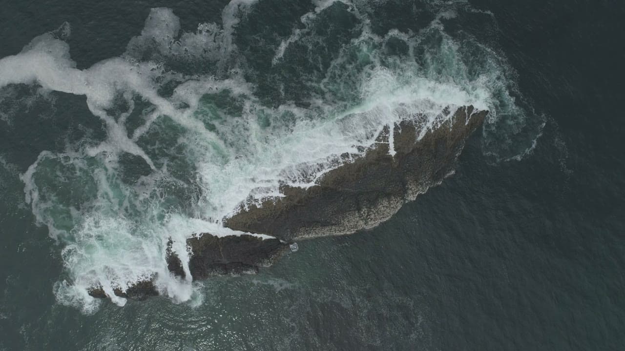 FP000755HD02