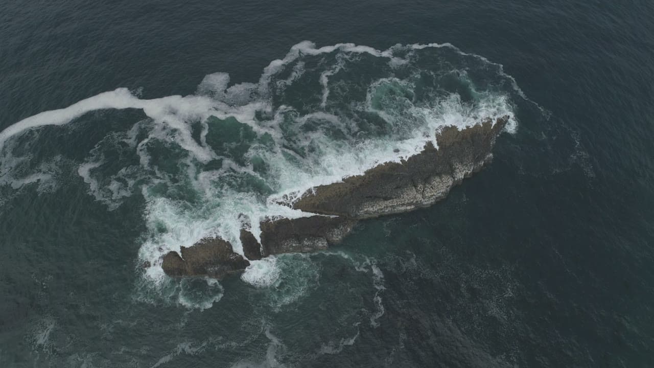 FP000755HD04