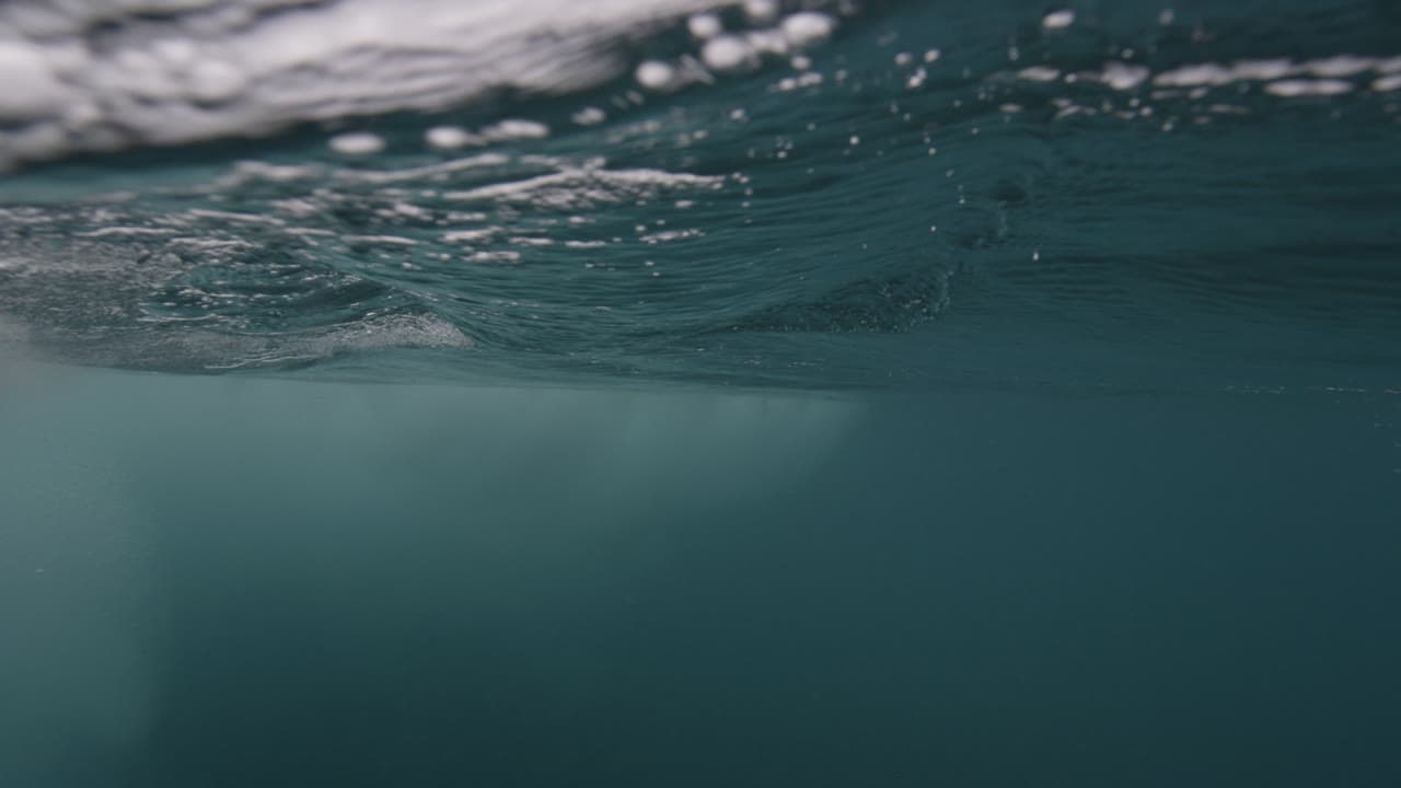 Waves 04