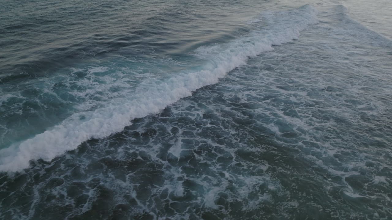 Waves 05
