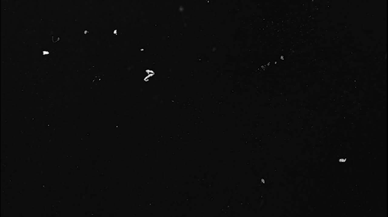 Visual 01