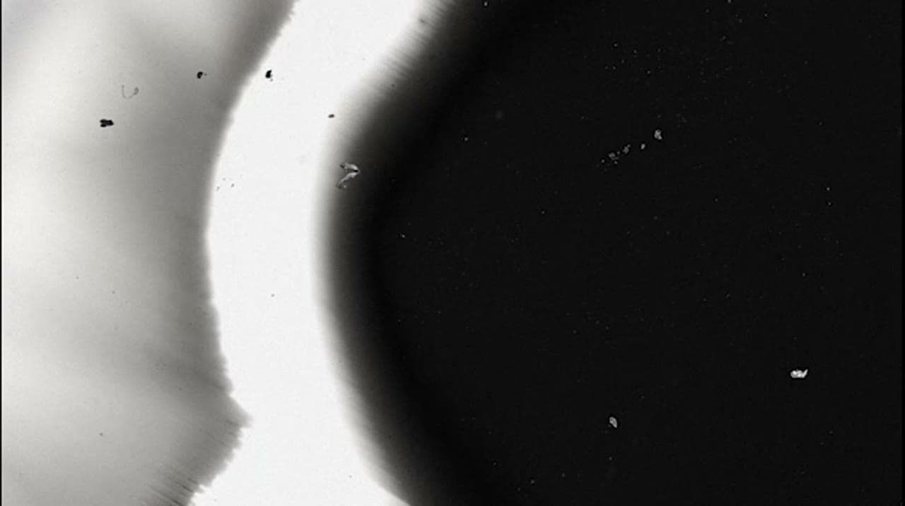 Visual 03