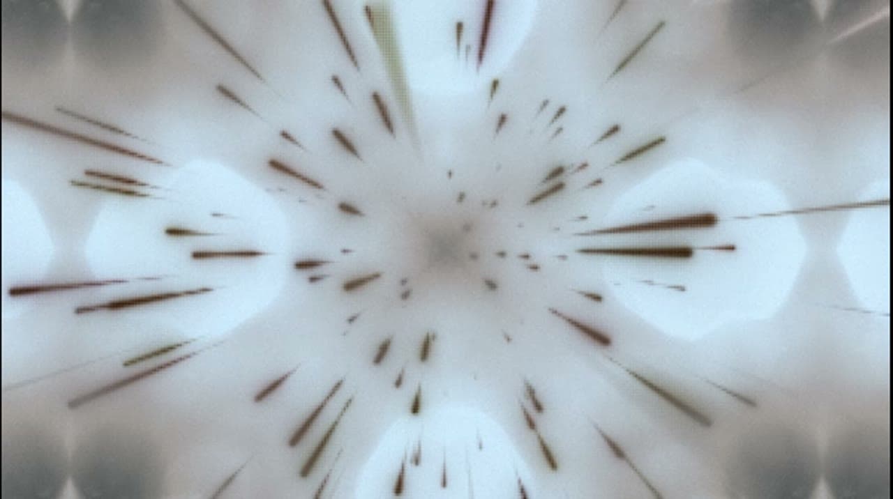Visual 09