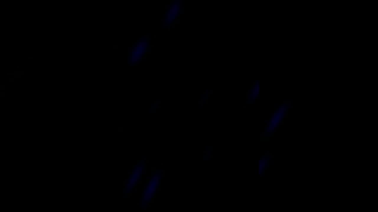 AMAZ Visual 1 Low