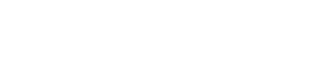 The Custom Box