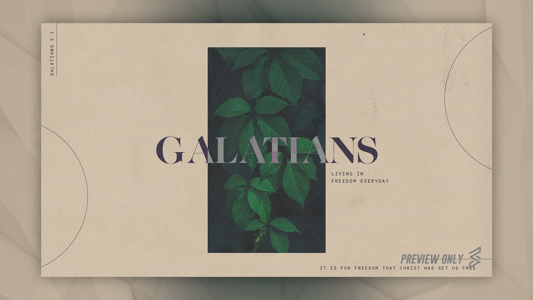 gala stills preview 01