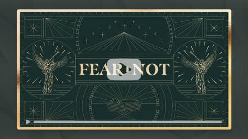 Fear Not – Bumper